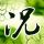 被黑人光天化日抢夺手机的经历